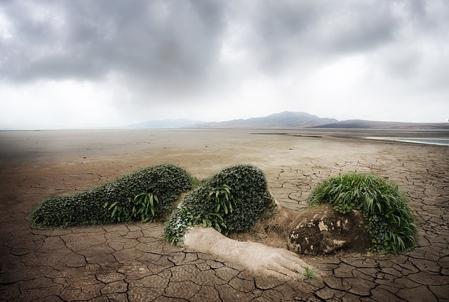 Weltweiter Klimawandel